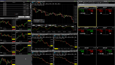 Interactive Brokers Minimum Deposit And Leverage