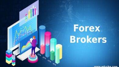 Make Sure That You Have Chosen The Best Forex Brokers