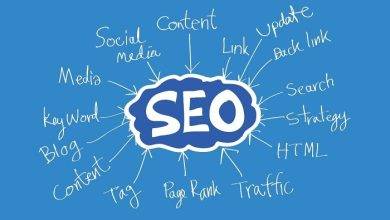 What Is SEO Full Form In Government