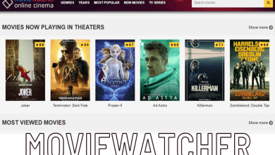 How to Use the MovieWatcher Download Site