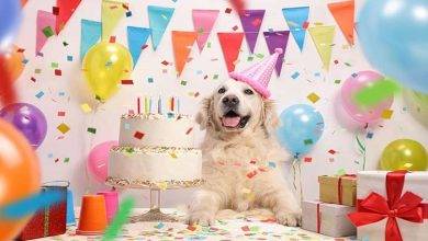 5 Tips to Plan a Dog Worthy Birthday Celebration
