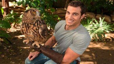 evan antin owl