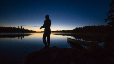 Inshore Fishing at Night The Complete Guide